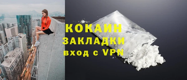 амф Елизово