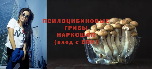 a pvp Ельня