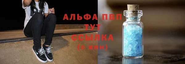 a pvp Ельня