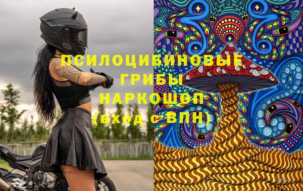 мескалин Елабуга