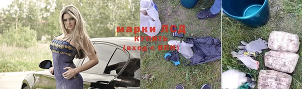 a pvp Ельня